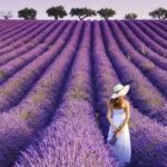 photo paysage