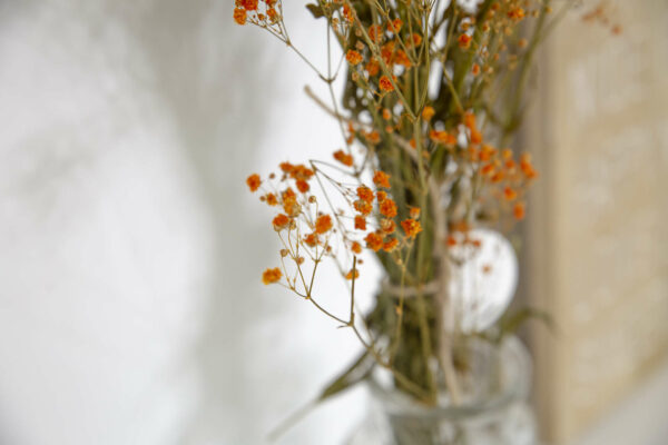 Bouquet de Gysophile orange dans un vase transparent