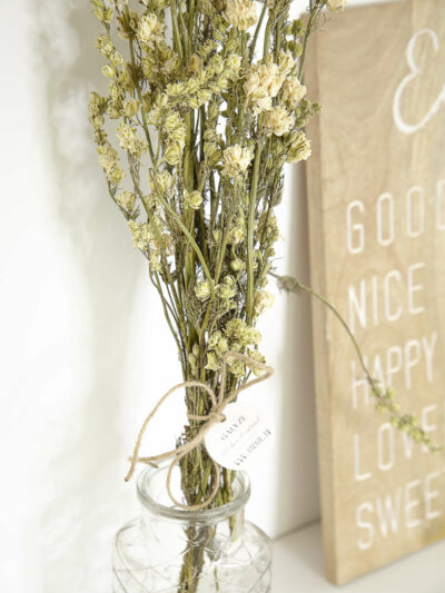 Bouquet de Delphinium blanc dans un vase transparent