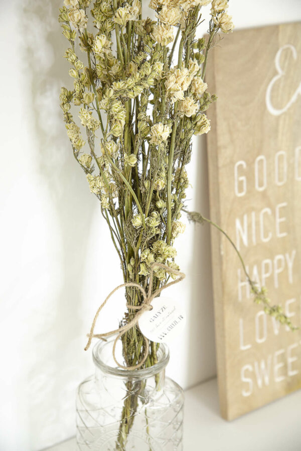 Bouquet de Delphinium blanc dans un vase transparent