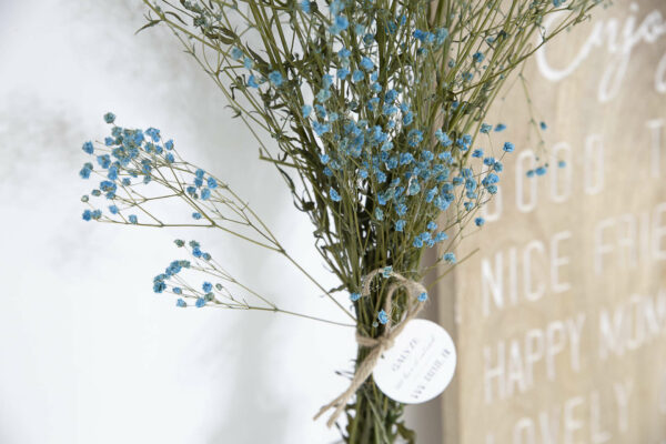 Bouquet de Gysophile bleu dans un vase transparent