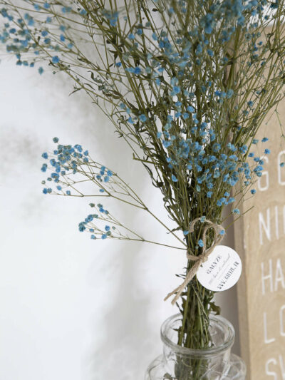 Bouquet de Gysophile bleu dans un vase transparent